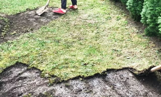 Снятие дерна старого газона в Владикавказе – от 520 руб. | 2Землекопа-Вкз